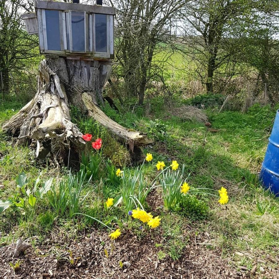 Romantic Escape Luxury Hobbit House With Hot Tub! Sheerness Esterno foto